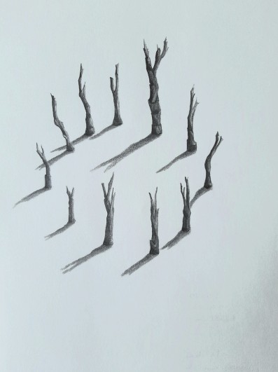 Serie Relazioni, disegno grafite con alberi e ombre